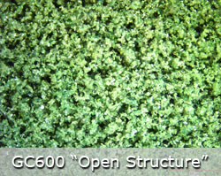 GC Open Structure