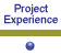 Project Experience