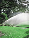 irrigation -rain-RotorsBeauty94