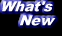 NES News
