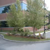 commercial landscaping-970510