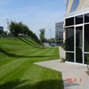 commercial landscaping-970548