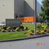 commercial landscaping-970550