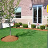commercial landscaping-970559