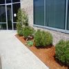 commercial landscaping-970561