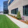 commercial landscaping-970564