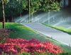 irrigation -rain-Sprays93