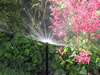 irrigation -sprays-comm_spray_483